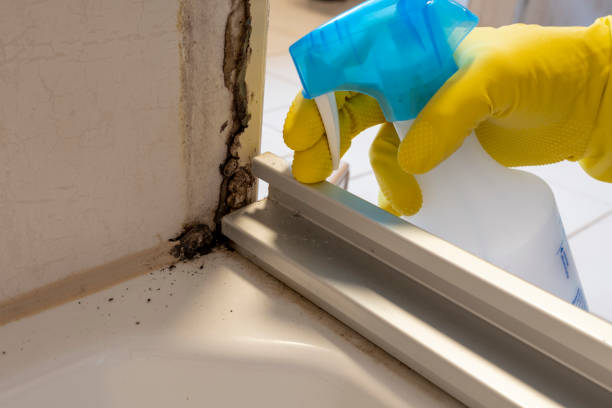 Mold Testing and Removal in Dravosburg, PA